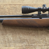 Bsa buccaneer se 5.5mm