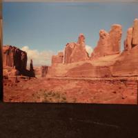 wandschilderij foto op canvas