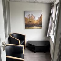 2 zwarte fauteuilstoelen