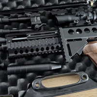 Artemis Pp800 .22 Tactical 