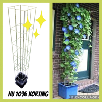 Decoratieve Plantensteunen voor op terras en balkon