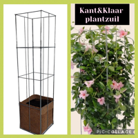 Decoratieve Plantensteunen voor op terras en balkon