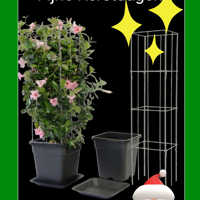 Decoratieve Plantensteunen voor op terras en balkon