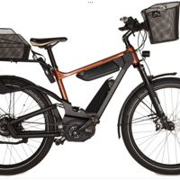 Set Riese Müller Delite Elektrische Fietsen Gezocht met of zonder Kentekenplaat 