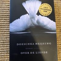 Over de liefde - Doeschka Meijsing 