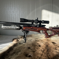 BSA R-10 SE 4,5mm Custom HFT-FT Ready