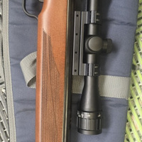 Walther classus igst