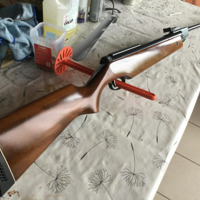 diana 45 4.5 mm in zeer goede staat