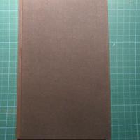 Jos Ghysen  -  Ik dacht het maar