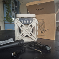 D&P Karaoke Speaker met Bluetooth en Microfoon