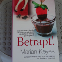 Betrapt !! van bestsellerschrijfster Marian Keyes ( 476 blz)