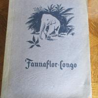 Faunaflor - Congo II