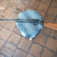 Diana 15 jeugdbuksje in topstaat !