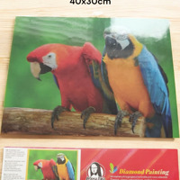 Diamond Painting Pakket - Papegaaien | Ara's - 40x30 cm - Co