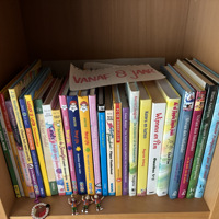 Leesboeken jongens meisjes vanaf 7 / 8 jaar Ook los te koop