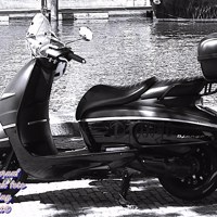 te koop peugeot jango 