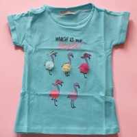 Glo-Story t-shirt flamingo's turquoise 98