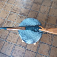 Daisy Champion 99 BB matchbuks 1974