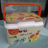 Kleine Koelbox Sun and Fun