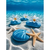 nr 12 Diamond Painting zee schelpen 50x40cm (vierkant)