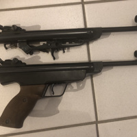 Diana LP5G 4.5 en 5.5 projectje