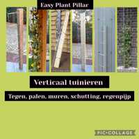 Klimplantrekken tegen overkappingen, muren en schuttingen