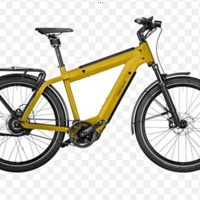 Set Riese Müller Supercharger Elektrische Fietsen Gezocht met of zonder Kentekenplaat 