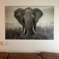 Glasschilderij olifant