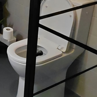 Toilet (duoblok)