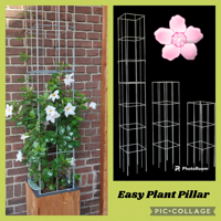 PLANTENSTEUNEN IN 40 uitvoeringen