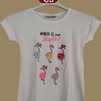 Glo-Story t-shirt flamingo's wit 104