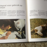 Een Boek van katten,lieve schattige huisdieren,slimme dieren