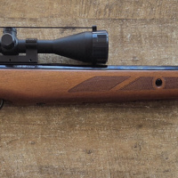 Gamo hunter extreme 1250