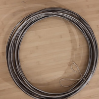 Metalen ringen doorsnee 52 cm, 10 mm dik 12 stuks