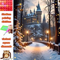 50x40cm Diamond Painting winter kasteel (vierkant) nr 55