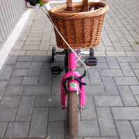 Leuk Rose 12 inch meisjesfiets 