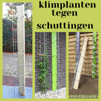 KLIMPLANTEN DE VERTICALE TUIN TEGEN SCHUTTINGEN