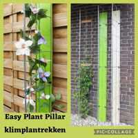 KLIMPLANTEN DE VERTICALE TUIN TEGEN SCHUTTINGEN