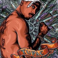 nr 2038 Diamond Painting rapper 50x40cm (rond)