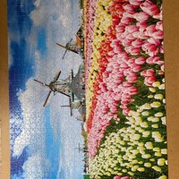 Legpuzzels voor het goede doel