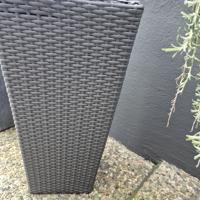 Wicker plantenbloembak