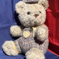 Beer Interprasent ruiten kleding kijkt naar links ruwe vacht