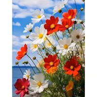 nr 62 Diamond Painting wilde bloemen 50x40cm (vierkant)