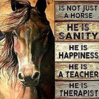 nr 2010 Diamond Painting paard met tekst 50x40cm (rond)