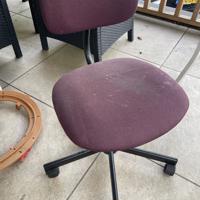 Dining chairs cushioned