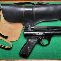 Webley Premier .22 (5,6mm).