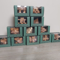 Set van 12 houten IQ puzzels echte hersenkrakers / breinbrek