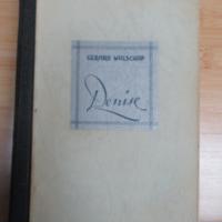 Gerard Walschap  -  Denise