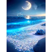 nr 7 Diamond Painting maanlicht strand 50x40cm (vierkant)