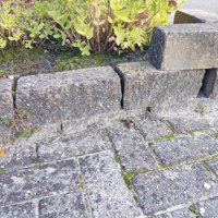 Border blokken (ruw beton)